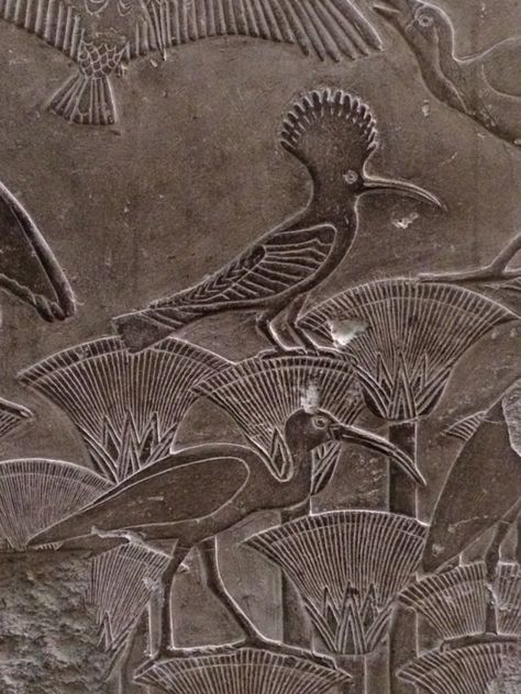 Frieze with lotus blossoms, ibis and hoopoe. Egyptian museum, Cairo Birds Architecture, Egypt Decor, Egypt Animals, Egiptul Antic, Egyptian Museum, Egyptian Artifacts, Ancient Egypt Art, Ancient Animals, Egyptian Hieroglyphics