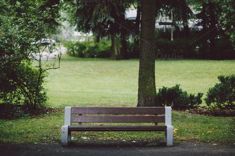 Check out Bench in a park #2 by Pawel Kadysz on Creative Market Simple Bench, Simple Benches, Rainforest Plants, Beautiful Websites, Tropical Resort, Blue Screen, Wooden Bench, The Meadows, A Park