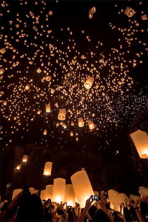 Lanterns In The Sky, Flying Lanterns, Floating Lanterns, Sky Lanterns, Floating Lights, Lantern Festival, Festival Of Lights, Festival Lights, Angkor