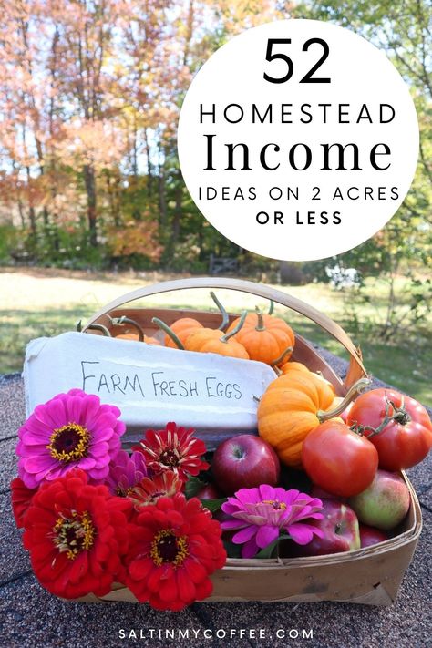 Looking for ways to make homesteading income from a small piece of land? This list is full of ideas and links to help fuel your passion to make a living from home! There are so many ways to make real income from even the tiniest piece of land. We've used our very small homestead property to make income in ways that let me stay home and make far more than I could working a job in our small town. Here are some of the ways we've made our property work for us, and many more! Homesteading In The Woods, Homestead In Town, Make Money Gardening, Homestead Items To Sell, Making Money From Homestead, Homestead Income Ideas, How To Make Money Homesteading, Homestead Money Making Ideas, Homestead Business Ideas