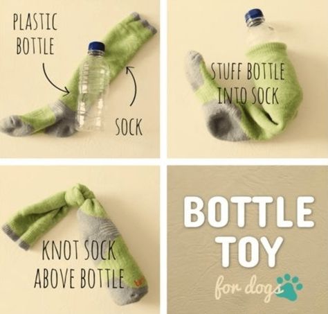 7 DIY Dog Toys You Can Make From Things in Your House Katt Diy, Homemade Dog Toys, Diy Dog Toys, Positive Dog Training, Dog Enrichment, Dog Games, Toy Puppies, Pet Hacks, Diy Dog