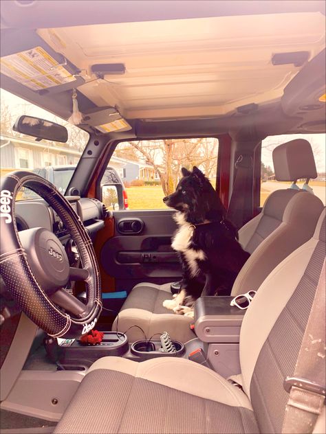 Cute Black and White Pomsky Dog in passenger seat of Jeep Wrangler Car Dream, Jeep Girl, Girl Needs, Jeep Wrangler, Jeep, Dogs