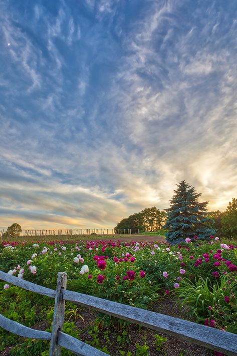 Natick Massachusetts, Entrance Way, England Photography, Farm Lifestyle, Farm Photography, Landscape Sunset, Happy Photos, Scenery Pictures, Photo Blog