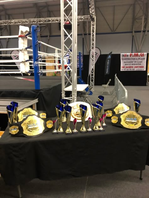 Boxing Snap, Boxing Trophy, Boxing Tournament, Workout Bags, Punching Bag, Fitness Training, Boxing, Sports, Quick Saves