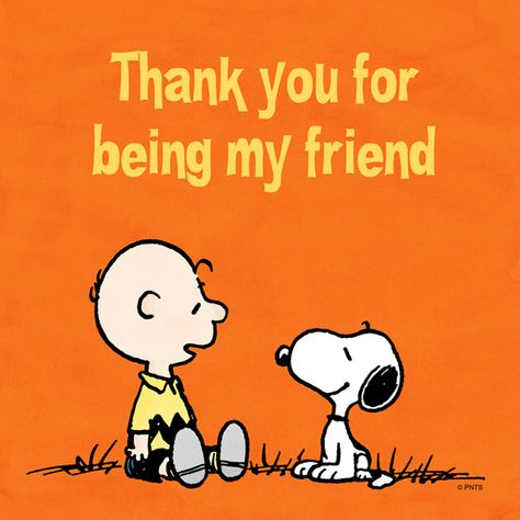 Thank you for being my friend.. friendship friend snoopy friendship quote… My Friend Quotes, Charlie Brown Quotes, Snoopy Funny, Peanuts Cartoon, Snoopy Quotes, Snoopy Pictures, Snoop Dog, Snoopy Love, Charlie Brown Peanuts