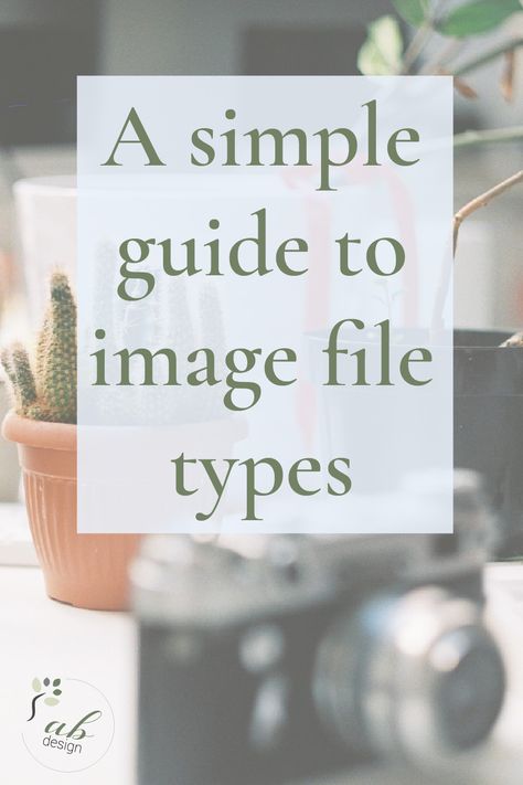 Confused about type of file to use when? This simple guide will explain the various image file types and their best uses. Free Business Resources, Business Board, Marketing Advice, Free Facebook, Business Resources, File Types, Creative Entrepreneurs, Business Tips, Online Marketing