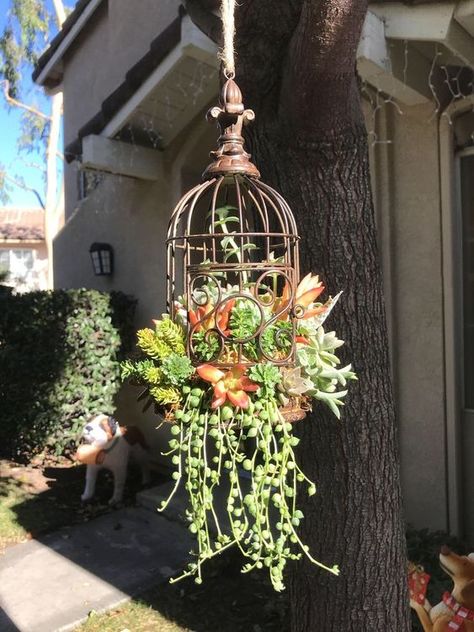 Vasos Vintage, Succulent Planter Diy, Succulent Garden Design, Succulent Landscaping, Succulent Garden Diy, Hanging Succulents, Birdcages, Succulent Gardening, Garden Yard Ideas