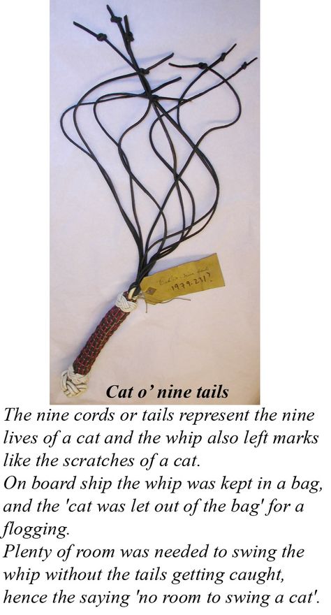 Cat Of Nine Tails Whip, Cat O Nine Tails Whip, Paracord Whip, Cat Of Nine Tails, Cat O Nine Tails, Cat O' Nine Tails, Hms Pinafore, Dungeon Room, Nine Tails