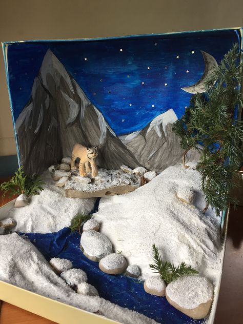 2 grade Diorama project Arctic Tundra Ecosystem Project, Mountain Habitat Project, Tundra Habitat Project, Tundra Shoebox Project, Shoe Box Art Projects, Mountain Biome Project, Wolf Diaroma, Arctic Biome Project, Snow Leopard Diorama