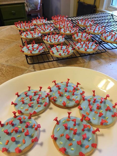 corona cookies, what to make when your quarantined. Microbiology Cookies, Biology Cookies, Biology Party, Biology Models, Lab Party, College Jokes, College Grad Party, Lab Week, Science Party