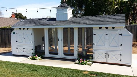 Garden And Chicken Coop, Chicken Coops Ideas, House Chicken, Rabbit House, Chicken Coop Run, Coop Design, Backyard Flocks, Chicken Garden, Building A Chicken Coop