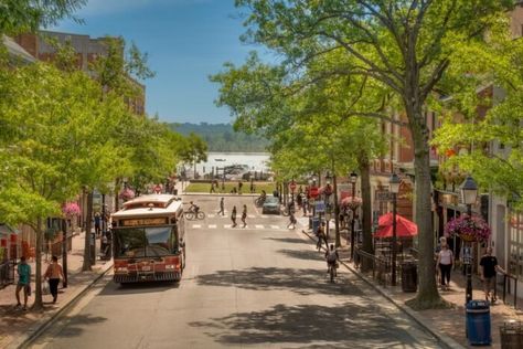 Walkable City, Old Town Alexandria, Waterfront Restaurant, Mount Vernon, Scenic Drive, Gorgeous View, Beautiful Architecture, Scenic Views, Historical Sites