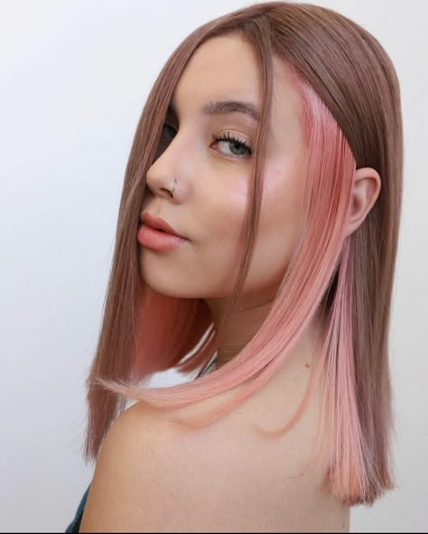 Blonde Panels In Hair, Panel Coloring Hair, Panel Of Color In Hair, Colour Panel Hair, Blonde Panels In Hair Brown, Panels Of Color In Hair, Color Panels In Hair, Panel Hair Color, Rosegold Haircolor