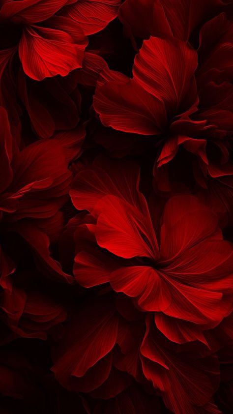 Red Flowers Background, Red Aesthetic Background, Red Flowers Wallpaper, Red Iphone Wallpaper, Red Wallpaper Iphone, Red Flower Wallpaper, Iphone Red Wallpaper, Maroon Background, Android Wallpaper Art