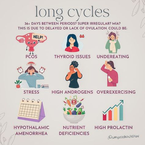 Hormones | Fertility | Periods on Instagram: "LONG CYCLES✨​​​​​​​​ ​​​​​​​​ A cycle is considered long if it is 36+ days.​​​​​​​​ ​​​​​​​​ If your cycle is super irregular, you have long cycles, or it’s MIA altogether this means there is something going on with ovulation.​​​​​​​​ ​​​​​​​​ It’s important to understand the root causes affecting your period because the healing approach will be different if you have PCOS vs hypothalamic amenorrhea, for example.​​​​​​​​ ​​​​​​​​ 🌸Long / irregular cy Herbs For Irregular Periods, Period Workout, Fertile Period, Hormone Nutrition, Menstruation Cycle, Period Cycle, Aunt Flo, Cycle Syncing, Irregular Periods