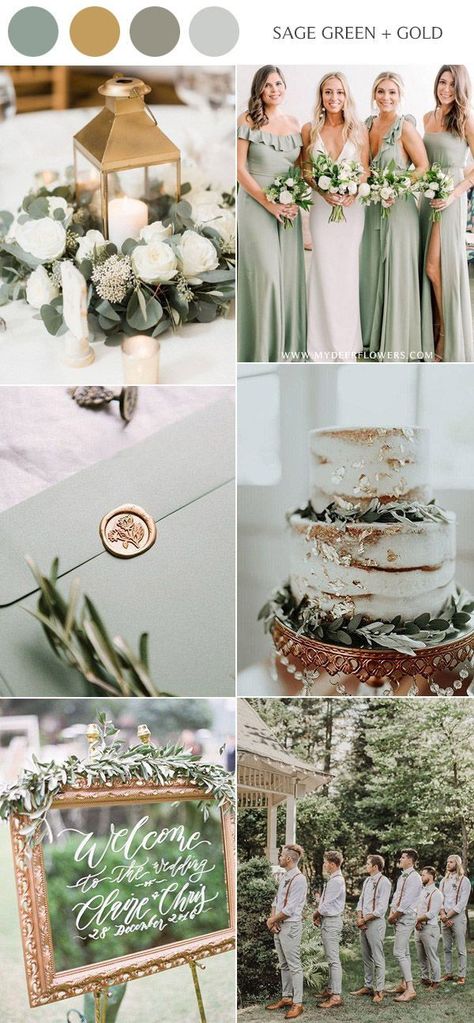 sage green and gold fall wedding color ideas Wedding Color Scheme Ideas, Wedding Stars, Sage Green Wedding Colors, Color Scheme Ideas, Fall Wedding Color Schemes, Wedding Color Scheme, Wedding Themes Spring, Wedding Themes Summer, Wedding Color Trends