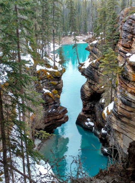 Touring the Icefields Parkway with Kids : Play Outside Guide Alberta Hikes, Banff Travel, Jasper National Park Canada, Canadian Road Trip, Banff National Park Canada, Alberta Travel, Canada Trip, Icefields Parkway, Road Trip Places