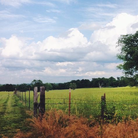 Tennessee Countryside Tennessee Countryside, Live Deliberately, Fields Of Gold, Country Roads Take Me Home, Home Of The Brave, Land Of The Free, Take Me Home, Nashville Tennessee, Family Farm