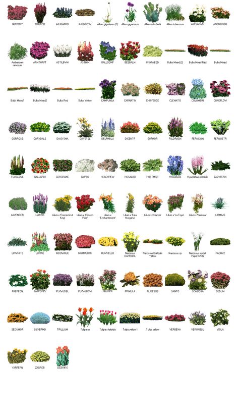 Bulbs for landscape design using GreenScapes Landscape Design Imaging Software. Learn More: http://www.LandscapeDesignImagingSoftware.com Evergreen Trees For Privacy, Front Yard Design Ideas, Yard Design Ideas, Garden Home Ideas, Yard Landscape Ideas, Garden Front Yard, Flower Garden Plans, Front Yard Landscape, Ideas For Garden