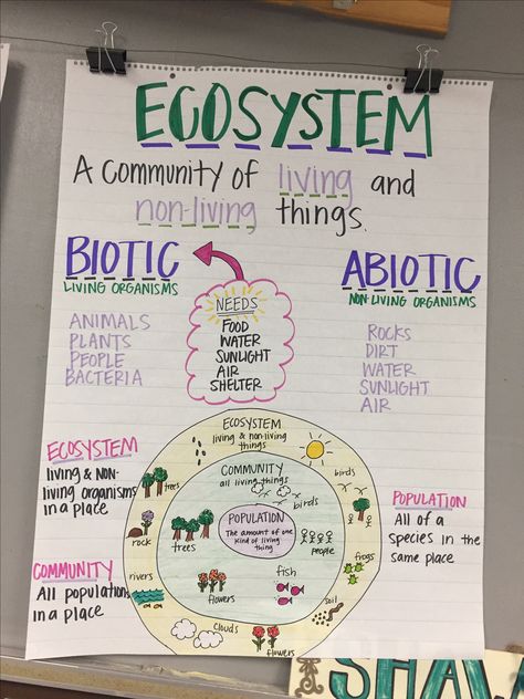 Ecosystem  Anchor Chart Ecosystem Anchor Chart, Science Anchor Charts 5th Grade, Fourth Grade Science, Science Anchor Charts, Biology Classroom, 7th Grade Science, 8th Grade Science, 4th Grade Science, 6th Grade Science