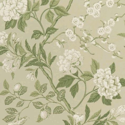 Soft Green Wallpaper, Sage Green Wallpaper, Mint Green Aesthetic, Go Wallpaper, Benjamin Moore Colors, Green Theme, Dessin Adorable, Exotic Birds, Green Wallpaper