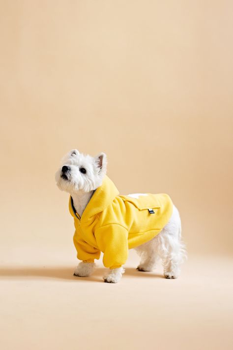 Dog Wearing Clothes, Boy Dog Clothes, Dog Summer Clothes, Fleece Dog Coat, Dog Winter Clothes, Embroidered Dog, Coat Spring, Cozy Dog, Dog Winter Coat