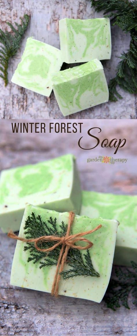 DIY Soap Recipes - Fresh and Woodsy Winter Forest Soap - Melt and Pour, Homemade Recipe Without Lye - Natural Soap crafts for Kids - Shea Butter, Essential Oils, Easy Ides With 3 Ingredients - soap recipes with step by step tutorials #soap #diygifts Cedarwood Soap, Savon Diy, Diy Soap Recipe, Soap Tutorial, Soap Making Recipes, Soap Craft, Soap Recipe, Homemade Soap Recipes, Luxury Soap