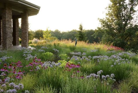 Best Professional Landscape Winner: Adam Woodruff & Associates Prairie Planting, Planting Design, Sustainable Landscaping, Meadow Garden, Modern Landscape Design, Fine Gardening, Landscape Architects, Native Garden, Traditional Landscape