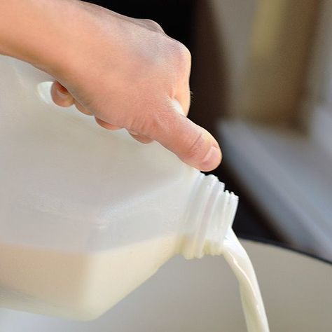 10 Ways to Use Up a Gallon of Milk  Tips from The Kitchn~T~Some very good ideas about how to use up milk so you never waste it. How To Use Milk Before It Expires, Recipes To Use Milk Up, Using Up Milk Recipes, What To Do With Extra Milk, Recipes That Use Lots Of Milk, Recipes That Require A Lot Of Milk, Recipes With A Lot Of Milk, Recipes With Lots Of Milk, 1% Milk Recipes