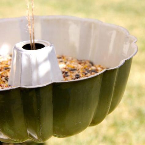 14 Easy DIY Winter Bird Feeders — The Family Handyman Old Bundt Pan Ideas, Bundt Cake Pans Repurposed, Bird Seed Ornaments Recipe, Winter Bird Feeders, Mason Jar Bird Feeders, Bird Feeder Station, Unique Bird Feeders, Backyard Birds Feeders, Suet Bird Feeder