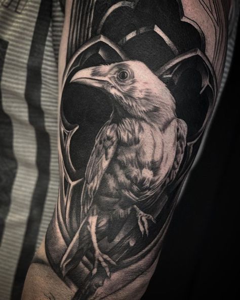 Fez on Instagram: “White raven piece for @gazzah3 ... top part is a big tribal sun cover up, but ran out of time. #whiteraven #raven #raventattoo…” White Raven Tattoo, Raven Tattoo Design, Daisy Tattoo Designs, Crow Tattoo Design, Raven Feather, White Raven, Irish Tattoos, White Crow, Crow Tattoo