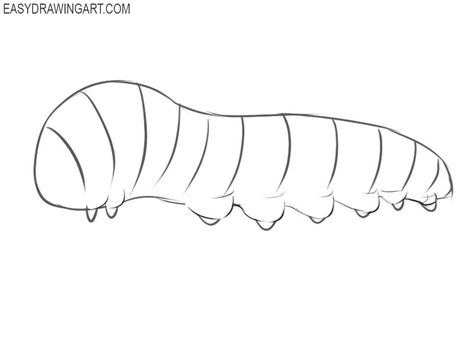 How to Draw a Caterpillar | Easy Drawing Art Catipiller Drawing, How To Draw Caterpillar, Caterpillar Drawing Simple, How To Draw A Caterpillar, Worm Drawing Easy, Catipillar Drawing, Caterpillar Sketch, Caterpillar Drawing, Worm Drawing