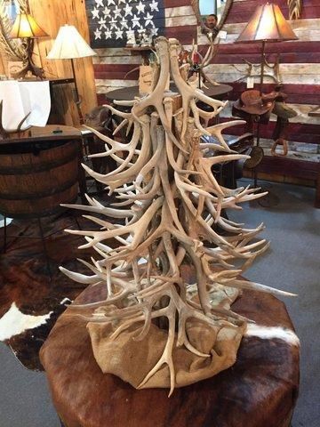 Deer Antler Ideas, Shell Lamps, Antler Christmas Tree, Diy Antler, Antler Tree, Antler Display, Old Christmas Tree, Antler Projects, Deer Antler Crafts