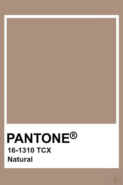 Tan Pantone Color, Tan Colour Pallete, Tan Color Aesthetic, Tan Colour Palette, Tan Pantone, Pantone Espresso, Bonsai Aesthetic, Beige Pantone, Tan Color Palette