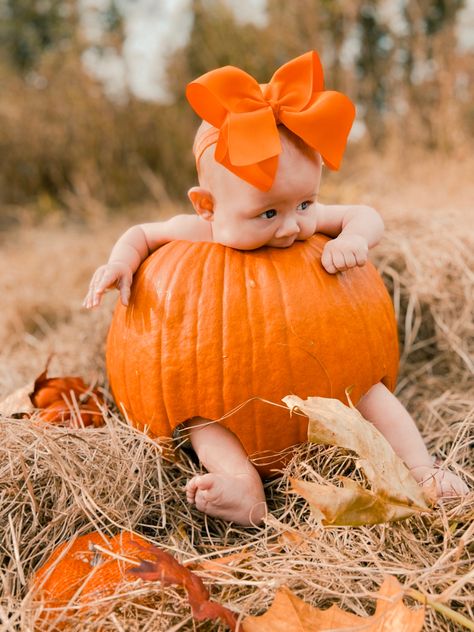 Baby Pumpkin Pictures, Halloween Baby Photos, Newborn Pumpkin, Fall Baby Photos, Fall Baby Pictures, Pumpkin Patch Pictures, Photo Halloween, Newborn Halloween, Fall Shoot