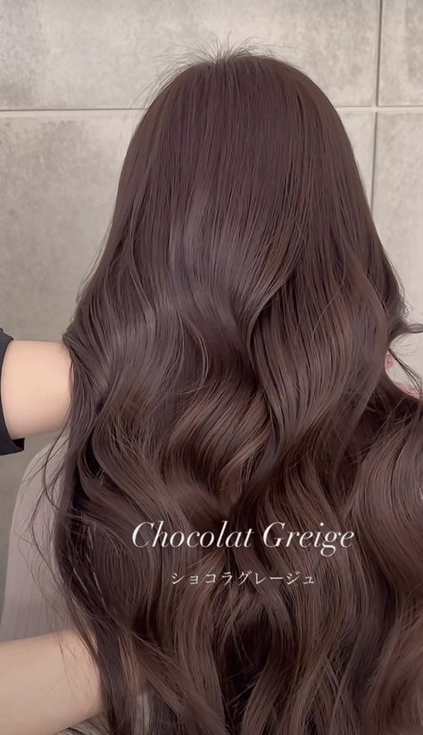 Chocolate Greige Hair, Dark Brown Hair Ash, Milktea Brown Hair Color, Asian Red Hair, Brown Shoulder Length Hair, Chocolate Hair, Hair Color Light Brown, Hair Advice, Light Hair Color