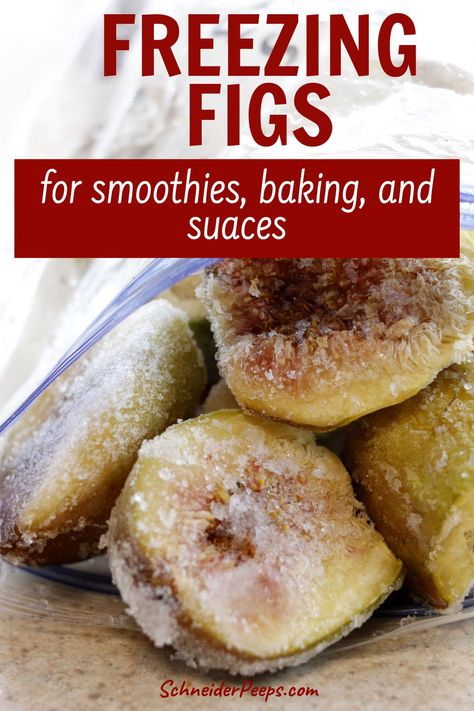 Recipes Using Frozen Figs, How To Freeze Fresh Figs, Freezing Fresh Figs, Freezing Whole Figs, How To Freeze Figs, What To Do With Lots Of Figs, How To Preserve Figs, Frozen Figs Recipes, Freezing Figs