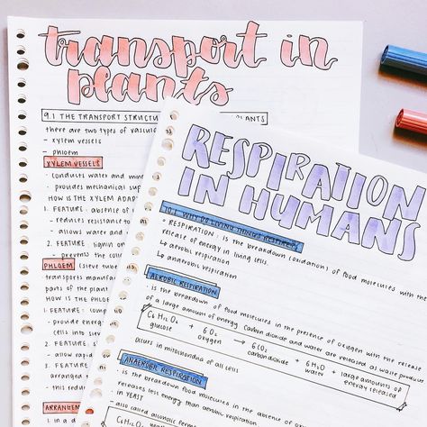 Biology notes, super cute layout // follow us @motivation2study for daily inspiration College Notes, Bullet Journal Notes, Revision Notes, Notes Ideas, School Organization Notes, Science Notes, Biology Notes, Pretty Notes, Notes Inspiration