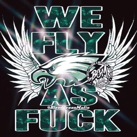 Eagles Memes, Philadelphia Eagles Art, Philadelphia Eagles Shoes, Eagles Poster, Eagles Quotes, Philadelphia Eagles Wallpaper, Eagles Football Team, Philly Football, Cowboys Memes