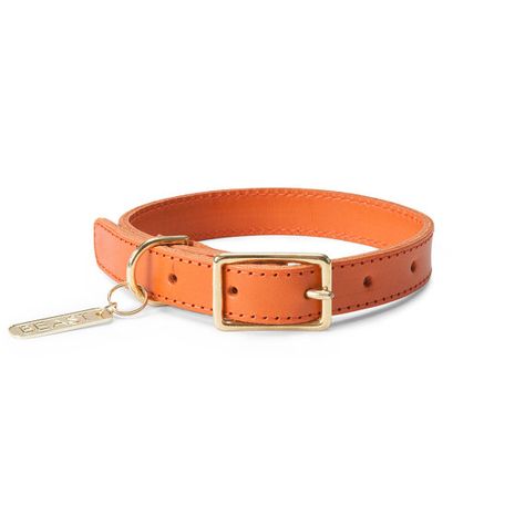 Leather Collar in Orange Orange Dog Collar, Orange Dog, Promise Band, Collars And Leashes, Pet Fashion, Dog Collars & Leashes, Dog Apparel, Summer Events, Orange Leather