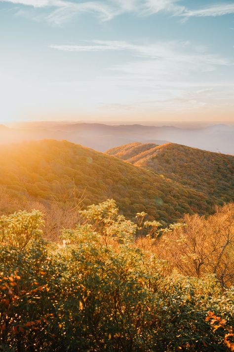 How to Spend A Weekend In Asheville, NC - Madelyne on the Move Asheville Nc Mountains, Asheville Nc Aesthetic, Asheville Aesthetic, Hopeful Aesthetic, Asheville Fall, Waterfalls In North Carolina, Spooky Board, Taco Pictures, Ashville North Carolina