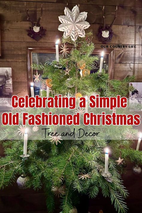 Old Fashioned Christmas Table Decor, Old Fashioned Christmas Tree Decorations, Old Fashion Christmas Decor, Old Time Christmas Decorations, Old Fashion Christmas Decorating Ideas, Old Fashioned Christmas Decor, 1800s Christmas, Simple Christmas Tree Ideas, Old Fashioned Christmas Lights