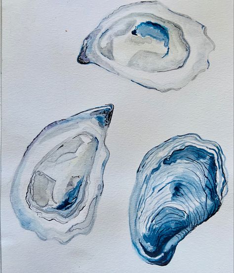 Random Watercolor Art, Watercolor Oyster Painting, Oyster Shell Watercolor, Oyster Watercolor Paintings, New England Watercolor, Watercolour Oyster, Oyster Shell Drawing, Oysters Watercolor, Oyster Drawing