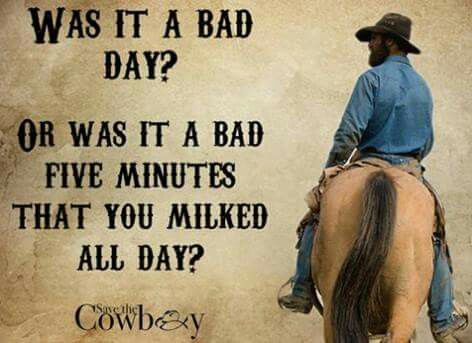 Cowboy Wisdom, Western Quotes, Cowboy Quotes, Country Quotes, Life Lesson, Lesson Quotes, Life Lesson Quotes, Bad Day, Sarcastic Quotes