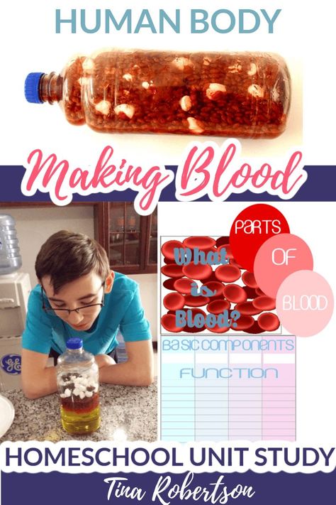 Stem Activities Ks3, Human Body Steam Activities, Human Body Homeschool Activities, Anatomy Stem Activities, Human Anatomy Homeschool, Human Body Science Experiments For Kids, Human Body Experiments For Kids, Human Body Science Experiments, Brain Crafts For Kids