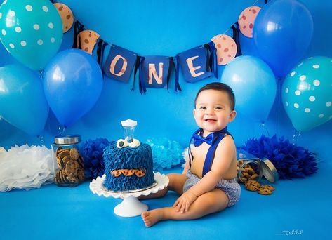 Birthday Photoshoot Ideas Boys, Cookie Monster Birthday Party, Monster First Birthday, Boys 1st Birthday Cake, Cookie Birthday Party, Monster 1st Birthdays, Cookie Monster Party, Cookie Monster Birthday, Baby Boy 1st Birthday Party