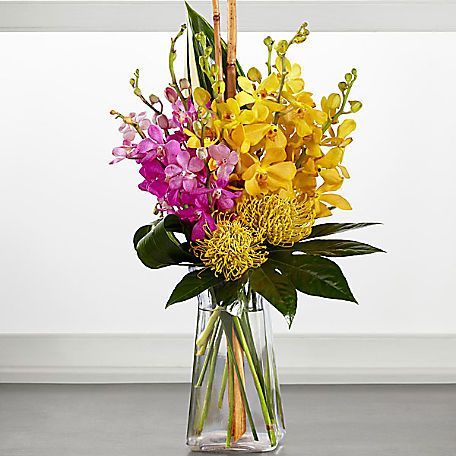 Escape to a world colored in island brights with this truly stunning tropical flower bouquet. Fuchsia mokara orchids are brought together with luminous yellow mokara orchids accented with yellow pincushion protea, tropical leaves, and natural rivercane stems to create a truly impressive display. Presented in a gathered square clear glass vase, this tropical flower arrangement is that unique birthday, thank you, or thinking of you gift you've been searching for. Good bouquet includes 5 stems. App Tropical Flower Bouquet, Diy Silk Flower Arrangements, Mokara Orchids, Tropical Flowers Bouquet, Pincushion Protea, Tropical Flower Arrangements, Most Popular Flowers, Clear Glass Vase, Kangaroo Paw