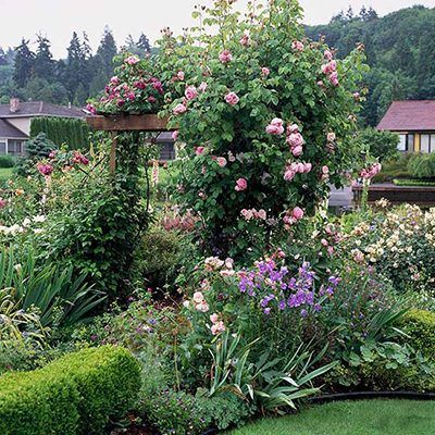 5 Tips for Designing a Cottage Garden | Grow Beautifully Arbors Trellis, Rose Arbor, Side Yard Landscaping, Garden Vines, Cottage Garden Design, Garden Arbor, Have Inspiration, Climbing Roses, Perfect Garden