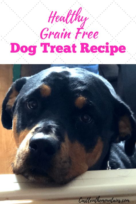 Keto dog treats for you best friend. These are easy to make, grain free, low carb and healthy for your best friend. They're tasty too! My dogs beg for these and they are a lot less expensive than store bought treats.  via @https://www.pinterest.com/castleinthemountains/ Chocolate Cheesecake Bites, Dog Treat Recipe, Dog Treats Grain Free, Sugar Free Peanut Butter, Rottweiler Love, Healthy Grains, Low Carb Chocolate, Healthy Dog Food Recipes, For Your Best Friend