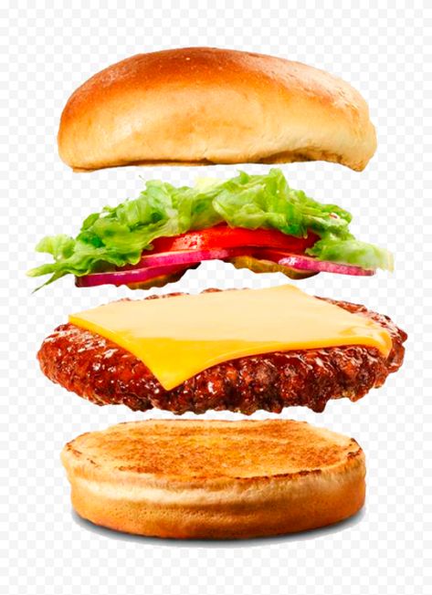 Buffalo Burgers, Fried Chicken Burger, Food Png, Spicy Snacks, Food Graphic Design, Beef Burger, Food Categories, Food Illustrations, Food Items